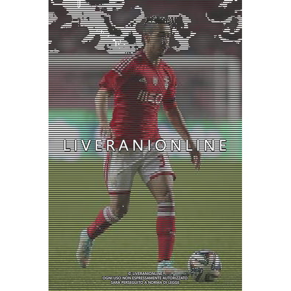 Andre Almeida - 22.11.2014 - Benfica / Moreirense - Coupe du Portugal- Photo : Carlos Rodrigues / Icon Sport ag aldo liverani sas only italy