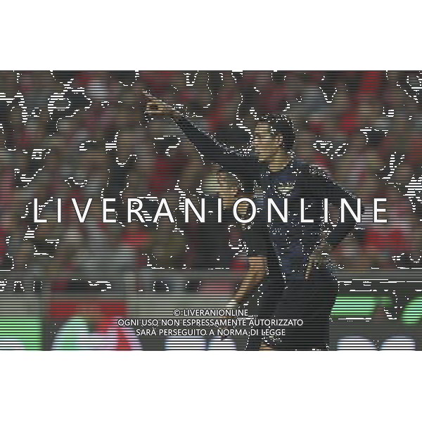 Joie Moreirense / Ramon Cardozo - 22.11.2014 - Benfica / Moreirense - Coupe du Portugal- Photo : Carlos Rodrigues / Icon Sport ag aldo liverani sas only italy