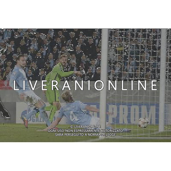 Malmo 26-11-2014 Malmo vs Juventus Champions League 2014-2015 Nella foto: gol Llorente AG ALDO LIVERANI SAS