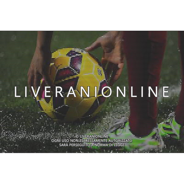 Illustration ballon - 26.11.2014 - France / Bresil - Match amical Photo : Jean Paul Thomas / Icon Sport AG ALDO LIVERANI SAS ONLY ITALY