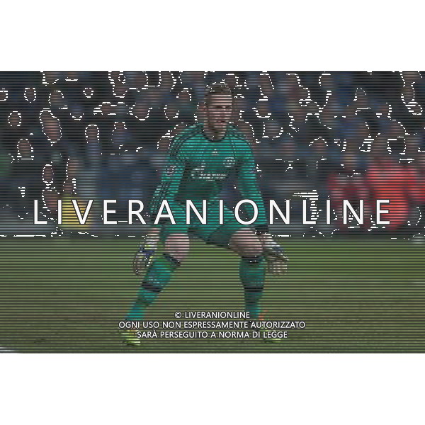 firo : Fußball,Fussball : 25.11.2014 Champions League, Saison 2014/2015: FC Schalke 04 - FC Chelsea, S04, Ralf Fährmann, Faehrmann ( Schalke ), Einzelaktion $worldrightsEs gelten unsere AGB, einsehbar auf www.firosportphoto.de copyright by firo sportphoto: Coesfelder Str. 207 D- 48249 Dülmen www.firosportphoto.de mail@firosportphoto.de (V o l k s b a n k B o c h u m - W i t t e n ) BLZ.: 430 601 29 Kt. Nr.: 341 117 100 Tel: +49-2594 - 9916004 Fax: +49-2594 - 9916005 AG ALDO LIVERANI SAS ONLY ITALY