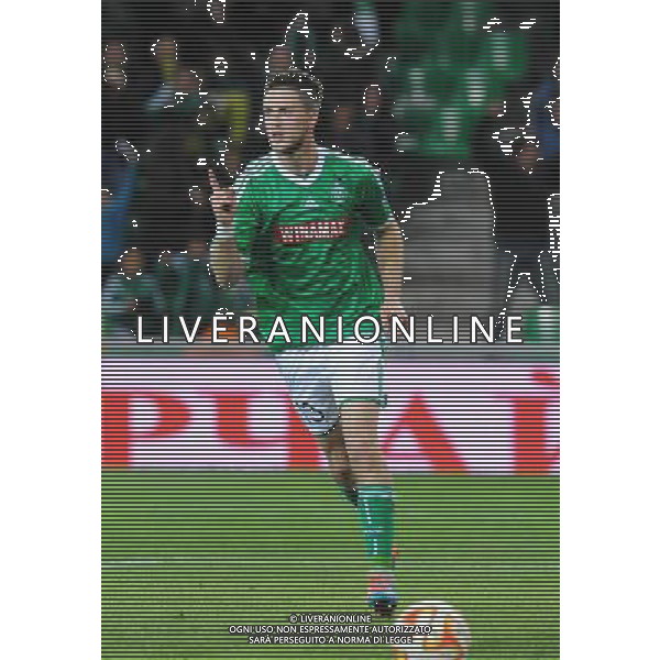 Joie Ricky VAN WOLFSWINKEL - 27.11.2014 - Saint Etienne / Qarabag Agdam - Europa League Photo : Jean Paul Thomas / Icon Sport AG ALDO LIVERANI SAS ONLY ITALY