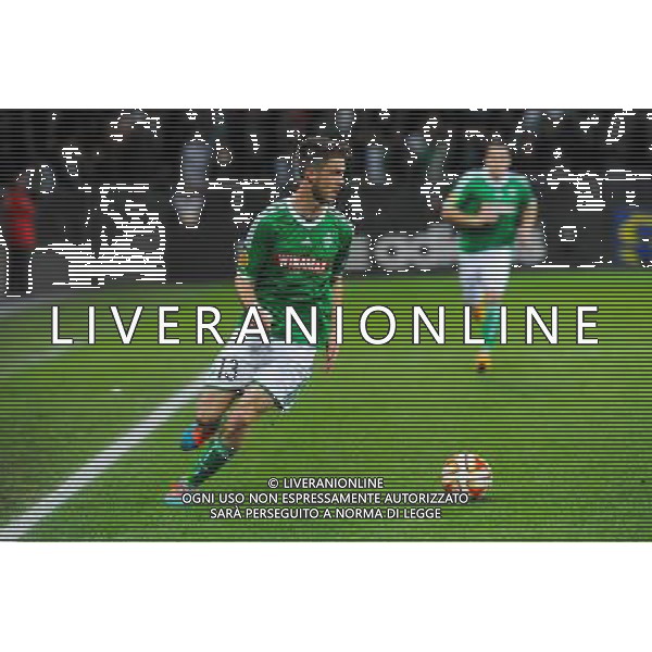 Ricky VAN WOLFSWINKEL - 27.11.2014 - Saint Etienne / Qarabag Agdam - Europa League Photo : Jean Paul Thomas / Icon Sport AG ALDO LIVERANI SAS ONLY ITALY