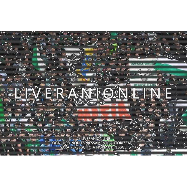 SUPPORTERS STEPHANOIS - 27.11.2014 - Saint Etienne / Qarabag Agdam - Europa League Photo : Jean Paul Thomas / Icon Sport AG ALDO LIVERANI SAS ONLY ITALY