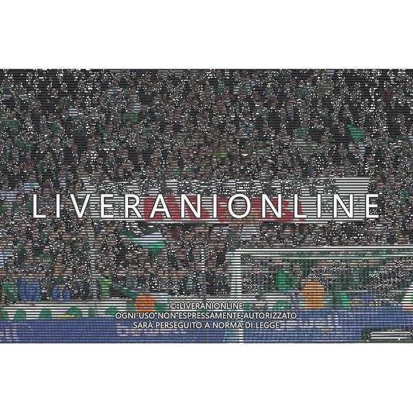 SUPPORTERS STEPHANOIS - 27.11.2014 - Saint Etienne / Qarabag Agdam - Europa League Photo : Jean Paul Thomas / Icon Sport AG ALDO LIVERANI SAS ONLY ITALY