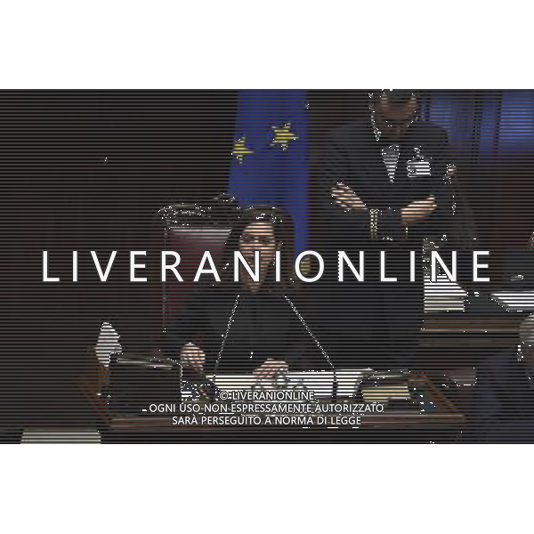 Voto di fiducia per la Legge di stabilita alal Camera - Roma 29 novembre 2014 nella foto laura boldrini ©Corradetti/AGENZIA ALDO LIVERANI SAS