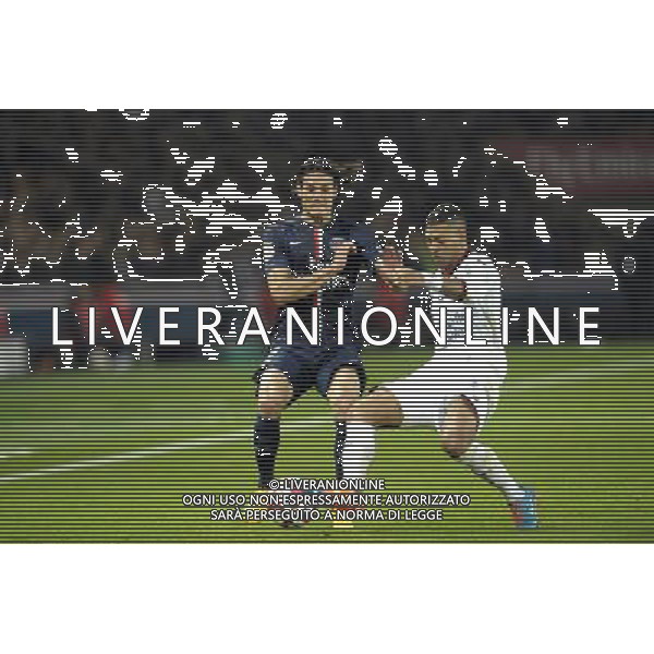 Lloyd PALUN / Edinson Cavani - 29.11.2014 - Paris Saint Germain / Nice - 15eme journee de Ligue 1 Photo : Andre Ferreira / Icon Sport AG ALDO LIVERANI SAS ONLY ITALY