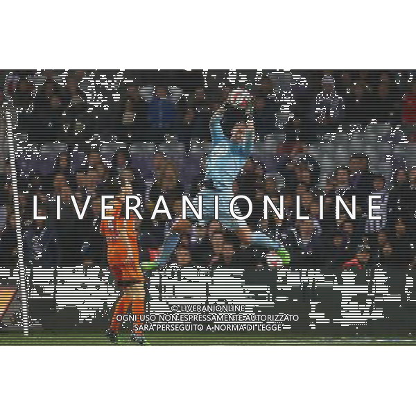 Benjamin Lecomte - 29.11.2014 - Toulouse / Lorient - 15eme journee de Ligue 1 Photo : Manuel Blondeau / Icon Sport /Agenzia Aldo Liverani sas - ITALY ONLY - EDITORIAL USE ONLY