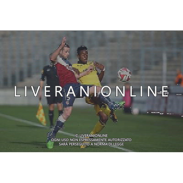 Nicolas Pallois / Divock Origi - 30.11.2014 - Bordeaux / Lille - 15eme journee de Ligue 1 Photo : Manuel Blondeau / Icon Sport /Agenzia Aldo Liverani sas - ITALY ONLY - EDITORIAL USE ONLY