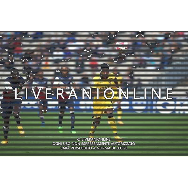 Divock Origi - 30.11.2014 - Bordeaux / Lille - 15eme journee de Ligue 1 Photo : Manuel Blondeau / Icon Sport /Agenzia Aldo Liverani sas - ITALY ONLY - EDITORIAL USE ONLY