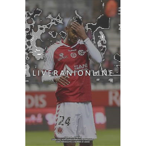 Deception David NGOG - 29.11.2014 - Reims / Bastia - 15eme journee de Ligue 1 Photo : Fred Porcu / Icon Sport /Agenzia Aldo Liverani sas - ITALY ONLY - EDITORIAL USE ONLY