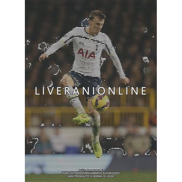 Tottenham Hotspur\'s Vlad Chiriches in action during todays match Photographer Kieran Galvin/CameraSport Football - Barclays Premiership - Tottenham Hotspur v Everton - Sunday 30th November 2014 - White Hart Lane - London © CameraSport - 43 Linden Ave. Countesthorpe. Leicester. England. LE8 5PG - Tel: +44 (0) 116 277 4147 - admin@camerasport.com - www.camerasport.com AG ALDO LIVERANI SAS ONLY ITALY