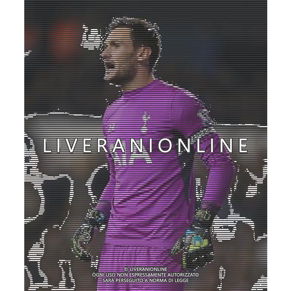 Tottenham Hotspur\'s Hugo Llorisin action during todays match Photographer Kieran Galvin/CameraSport Football - Barclays Premiership - Tottenham Hotspur v Everton - Sunday 30th November 2014 - White Hart Lane - London © CameraSport - 43 Linden Ave. Countesthorpe. Leicester. England. LE8 5PG - Tel: +44 (0) 116 277 4147 - admin@camerasport.com - www.camerasport.com AG ALDO LIVERANI SAS ONLY ITALY