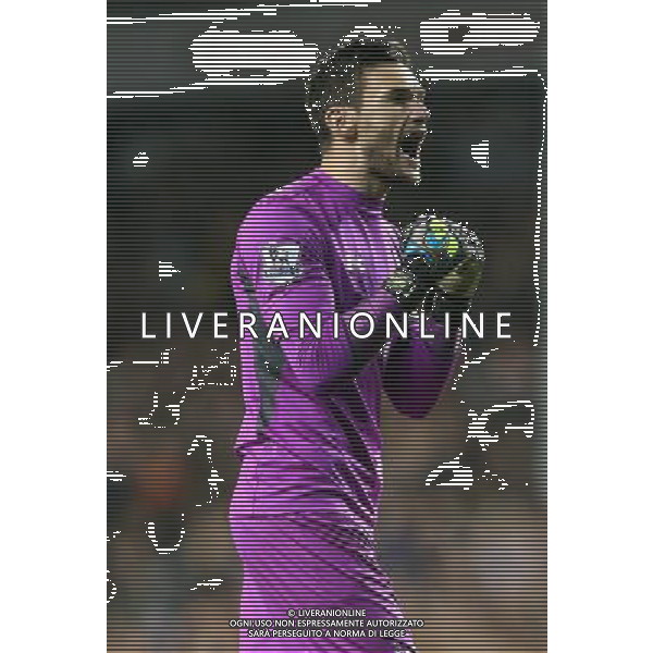 Tottenham Hotspur\'s Hugo Lloris celebrates they win Photographer Kieran Galvin/CameraSport Football - Barclays Premiership - Tottenham Hotspur v Everton - Sunday 30th November 2014 - White Hart Lane - London © CameraSport - 43 Linden Ave. Countesthorpe. Leicester. England. LE8 5PG - Tel: +44 (0) 116 277 4147 - admin@camerasport.com - www.camerasport.com AG ALDO LIVERANI SAS ONLY ITALY