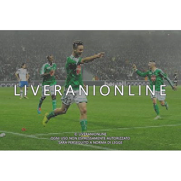 Joie Ricky VAN WOLFSWINKEL - 30.11.2014 - Saint Etienne / Lyon - 15eme journee de Ligue 1 Photo : Jean Paul Thomas / Icon Sport AG ALDO LIVERANI SAS ONLY ITALY