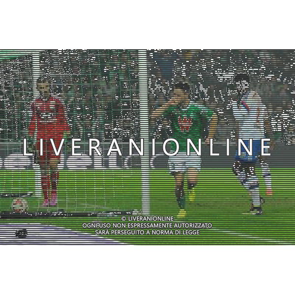 Joie Ricky VAN WOLFSWINKEL - 30.11.2014 - Saint Etienne / Lyon - 15eme journee de Ligue 1 Photo : Jean Paul Thomas / Icon Sport AG ALDO LIVERANI SAS ONLY ITALY