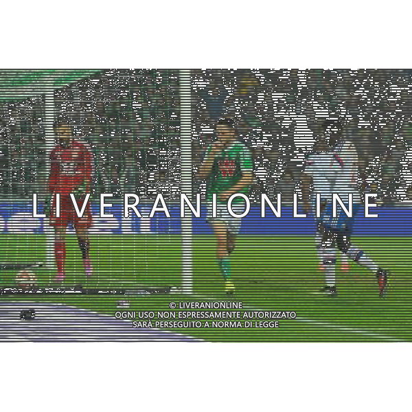 Joie Ricky VAN WOLFSWINKEL - 30.11.2014 - Saint Etienne / Lyon - 15eme journee de Ligue 1 Photo : Jean Paul Thomas / Icon Sport AG ALDO LIVERANI SAS ONLY ITALY