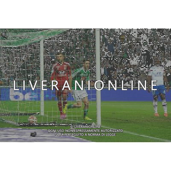 Joie Ricky VAN WOLFSWINKEL - 30.11.2014 - Saint Etienne / Lyon - 15eme journee de Ligue 1 Photo : Jean Paul Thomas / Icon Sport AG ALDO LIVERANI SAS ONLY ITALY