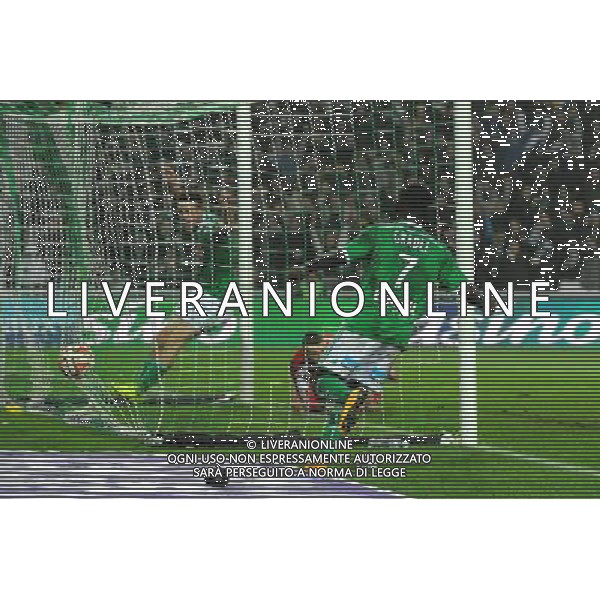 Joie Ricky VAN WOLFSWINKEL / Max Alain GRADEL - 30.11.2014 - Saint Etienne / Lyon - 15eme journee de Ligue 1 Photo : Jean Paul Thomas / Icon Sport AG ALDO LIVERANI SAS ONLY ITALY