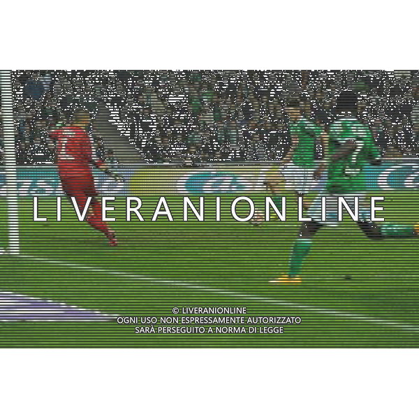 But Ricky VAN WOLFSWINKEL / Max Alain GRADEL - 30.11.2014 - Saint Etienne / Lyon - 15eme journee de Ligue 1 Photo : Jean Paul Thomas / Icon Sport AG ALDO LIVERANI SAS ONLY ITALY