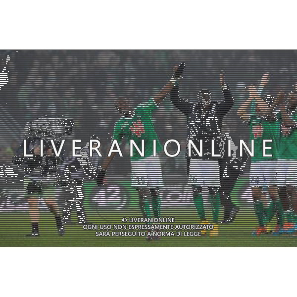 JOIE DE SAINT ETIENNE - Florentin POGBA - 30.11.2014 - Saint Etienne / Lyon - 15eme journee de Ligue 1 Photo : Jean Paul Thomas / Icon Sport AG ALDO LIVERANI SAS ONLY ITALY