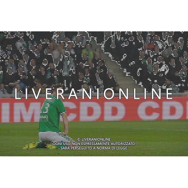 Ricky VAN WOLFSWINKEL - 30.11.2014 - Saint Etienne / Lyon - 15eme journee de Ligue 1 Photo : Jean Paul Thomas / Icon Sport AG ALDO LIVERANI SAS ONLY ITALY