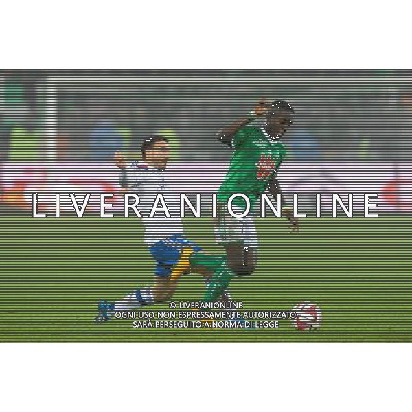 Steed MALBRANQUE / Max Alain GRADEL - 30.11.2014 - Saint Etienne / Lyon - 15eme journee de Ligue 1 Photo : Jean Paul Thomas / Icon Sport AG ALDO LIVERANI SAS ONLY ITALY