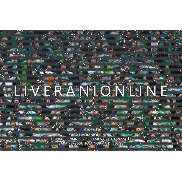 SUPPORTERS DE SAINT ETIENNE - 30.11.2014 - Saint Etienne / Lyon - 15eme journee de Ligue 1 Photo : Jean Paul Thomas / Icon Sport AG ALDO LIVERANI SAS ONLY ITALY