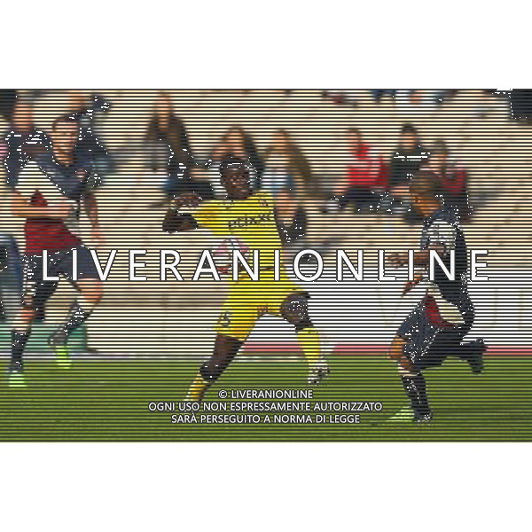 Idrissa Gueye - 30.11.2014 - Bordeaux / Lille - 15eme journee de Ligue 1 Photo : Manuel Blondeau / Icon Sport /Agenzia Aldo Liverani sas - ITALY ONLY - EDITORIAL USE ONLY