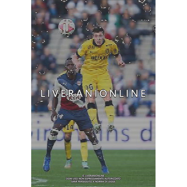 Jonathan Deplace - 30.11.2014 - Bordeaux / Lille - 15eme journee de Ligue 1 Photo : Manuel Blondeau / Icon Sport /Agenzia Aldo Liverani sas - ITALY ONLY - EDITORIAL USE ONLY