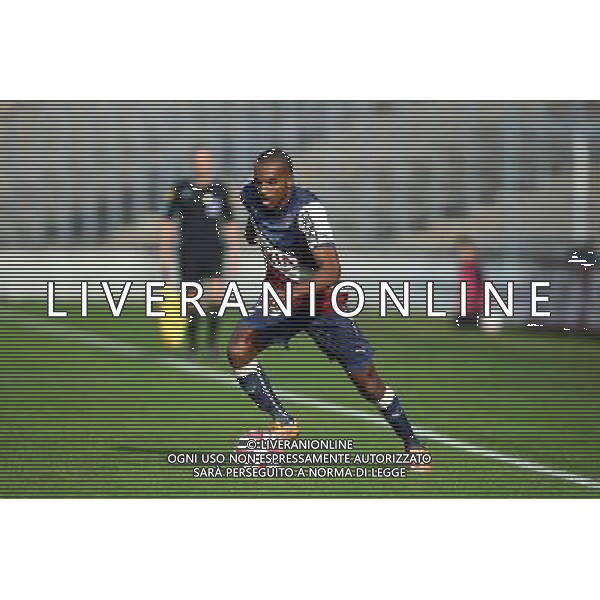 Nicolas Maurice Belay - 30.11.2014 - Bordeaux / Lille - 15eme journee de Ligue 1 Photo : Manuel Blondeau / Icon Sport /Agenzia Aldo Liverani sas - ITALY ONLY - EDITORIAL USE ONLY