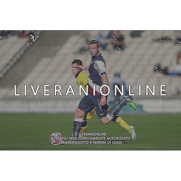 Nicolas Pallois - 30.11.2014 - Bordeaux / Lille - 15eme journee de Ligue 1 Photo : Manuel Blondeau / Icon Sport /Agenzia Aldo Liverani sas - ITALY ONLY - EDITORIAL USE ONLY