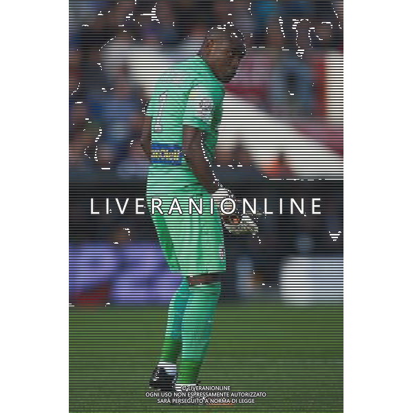 Vincent Enyeama - 30.11.2014 - Bordeaux / Lille - 15eme journee de Ligue 1 Photo : Manuel Blondeau / Icon Sport /Agenzia Aldo Liverani sas - ITALY ONLY - EDITORIAL USE ONLY