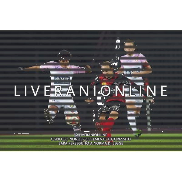 Thibault GIRESSE - 30.11.2014 - Evian Thonon / Guingamp - 15eme journee de Ligue 1 Photo : Jean Paul Thomas / Icon Sport /Agenzia Aldo Liverani sas - ITALY ONLY - EDITORIAL USE ONLY