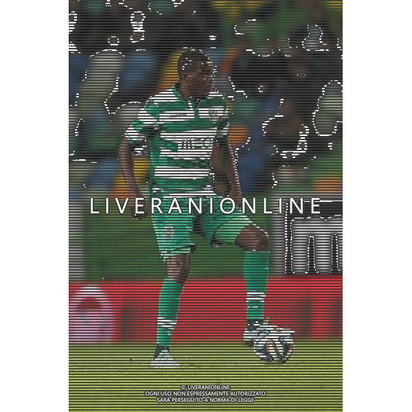William Carvalho - 29.11.2014 - Sporting / Vitoria Setubal - Liga Sagres Photo : Carlos Rodrigues / Icon Sport AG ALDO LIVERANI SAS ONLY ITALY