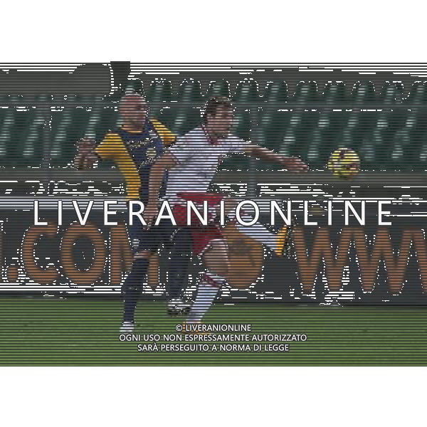 02-12-14 COPPA ITALIA 14-15 VERONA PERUGIA RODRIGUEZ RABUSIC FOTO EXPRESS-AG ALDO LIVERANI SAS