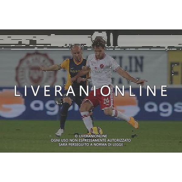 02-12-14 COPPA ITALIA 14-15 VERONA PERUGIA RODRIGUEZ RABUSIC FOTO EXPRESS-AG ALDO LIVERANI SAS