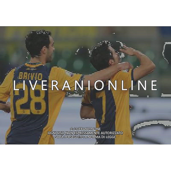 02-12-14 COPPA ITALIA 14-15 VERONA PERUGIA ESULTANZA SAVIOLA FOTO EXPRESS-AG ALDO LIVERANI SAS