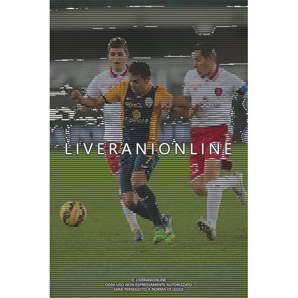 02-12-14 COPPA ITALIA 14-15 VERONA PERUGIA SAVIOLA FOTO EXPRESS-AG ALDO LIVERANI SAS
