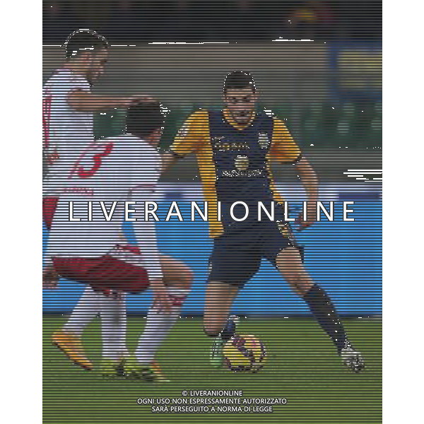 02-12-14 COPPA ITALIA 14-15 VERONA PERUGIA FOTO EXPRESS-AG ALDO LIVERANI SAS