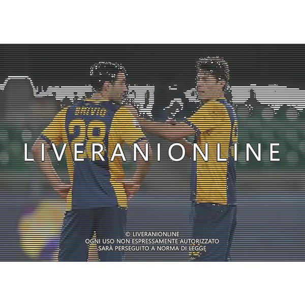 02-12-14 COPPA ITALIA 14-15 VERONA PERUGIA BRIVIO NENE FOTO EXPRESS-AG ALDO LIVERANI SAS
