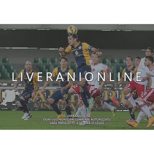 02-12-14 COPPA ITALIA 14-15 VERONA PERUGIA MARQUEZ FOTO EXPRESS-AG ALDO LIVERANI SAS