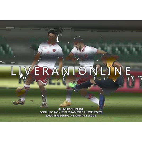 02-12-14 COPPA ITALIA 14-15 VERONA PERUGIA SAVIOLA FOTO EXPRESS-AG ALDO LIVERANI SAS