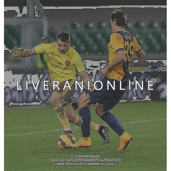 02-12-14 COPPA ITALIA 14-15 VERONA PERUGIA NENE FOTO EXPRESS-AG ALDO LIVERANI SAS