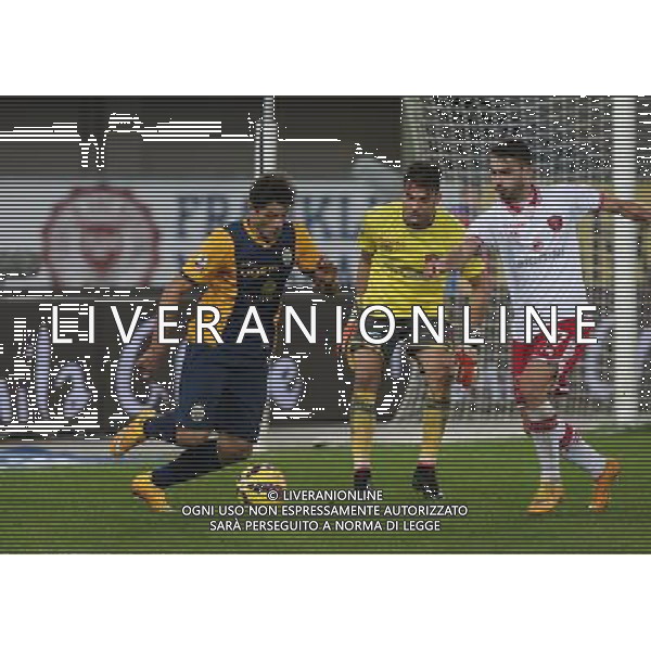 02-12-14 COPPA ITALIA 14-15 VERONA PERUGIA NENE FOTO EXPRESS-AG ALDO LIVERANI SAS