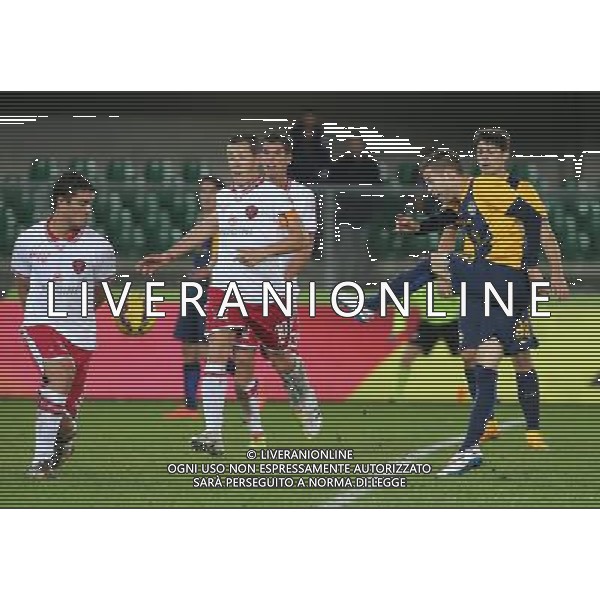 02-12-14 COPPA ITALIA 14-15 VERONA PERUGIA LOPEZ FOTO EXPRESS-AG ALDO LIVERANI SAS