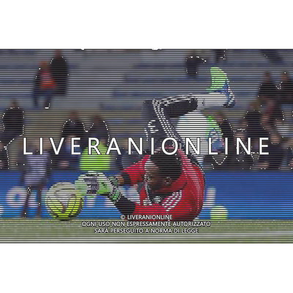 Steve MANDANDA - 02.12.2014 - Lorient / Marseille - 16eme journee de Ligue 1 Photo : Vincent Michel / Icon Sport AG ALDO LIVERANI SAS ONLY ITALY