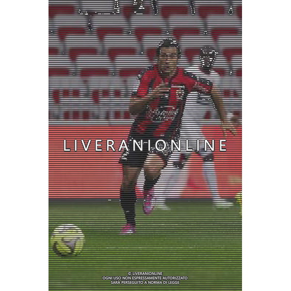Dario CVITANICH - 03.12.2014 - Nice / Rennes - 16eme journee de Ligue 1 - Photo : Jean Christophe Magnenet / Icon Sport /AGENZIA ALDO LIVERANI SAS - ITALY ONLY - EDITORIAL USE ONLY