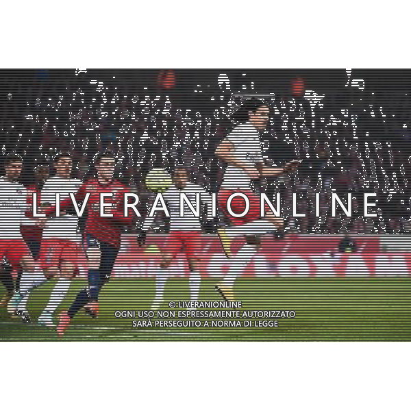 Edinson CAVANI - 03.12.2014 - Lille / Paris Saint Germain - 16eme journee de Ligue 1 Photo : Fred Porcu / Icon Sport /AGENZIA ALDO LIVERANI SAS - ITALY ONLY - EDITORIAL USE ONLY