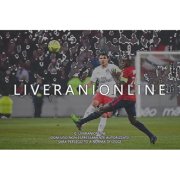 Thiago SILVA / Rio MAVUBA - 03.12.2014 - Lille / Paris Saint Germain - 16eme journee de Ligue 1 - Photo : Fred Porcu / Icon Sport /AGENZIA ALDO LIVERANI SAS - ITALY ONLY - EDITORIAL USE ONLY